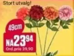 Europris Stort utvalg tilbud