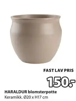 JYSK HARALDUR blomsterpotte tilbud