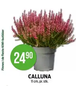 Kiwi CALLUNA tilbud