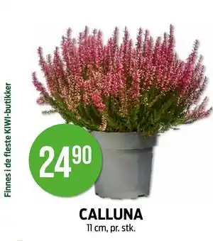 Kiwi CALLUNA tilbud