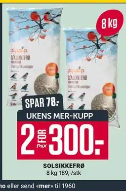 Europris SOLSIKKEFRØ, App-pris tilbud