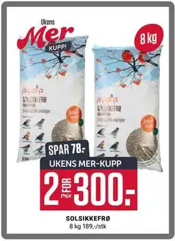 Europris SOLSIKKEFRØ, App-pris tilbud