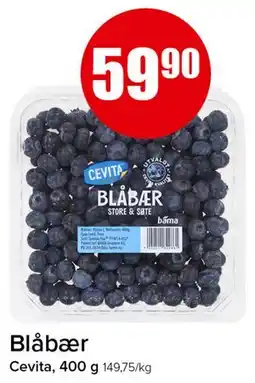 Spar Blåbær tilbud