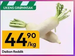 Gigaboks Daikon Reddik tilbud
