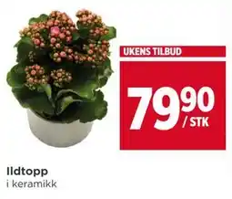Meny Ildtopp tilbud