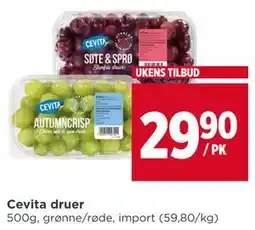 Meny Cevita druer tilbud