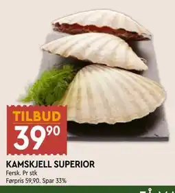 Coop Mega KAMSKJELL SUPERIOR tilbud