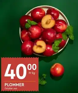 Coop Mega PLOMMER tilbud