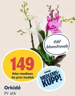 Coop Mega Orkidé, Medlemspris tilbud