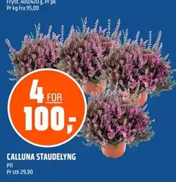 Coop Obs CALLUNA STAUDELYNG tilbud