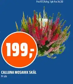 Coop Obs CALLUNA MOSAIKK SKÅL tilbud