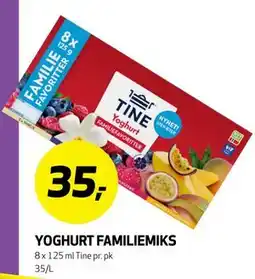 Bunnpris YOGHURT FAMILIEMIKS tilbud