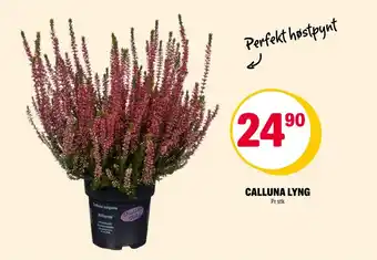 Coop Extra Calluna Lyng tilbud