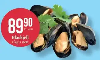 CC Mat Blåskjell tilbud