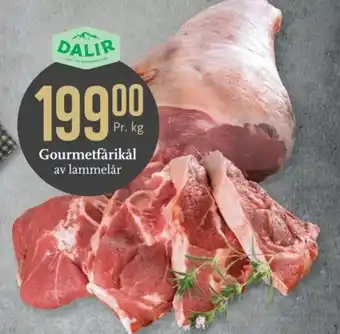 CC Mat Dalir Gourmetfårrikål av lammelår tilbud