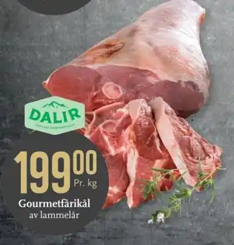 CC Mat Dalir Gourmetfårkål av lammelår tilbud