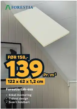 Megaflis Forestia tak-ess tilbud