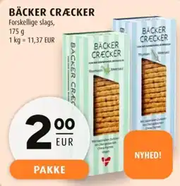 Scandinavian Park Bäcker cräcker tilbud