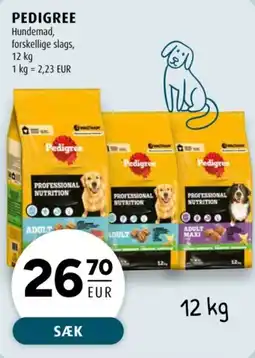 Scandinavian Park Pedigree hundemad forskjellige slags tilbud