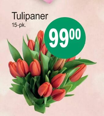 Joker Tulipaner tilbud
