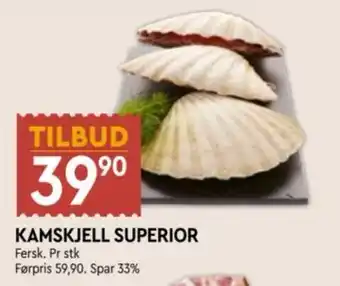 Kamskjell Superior