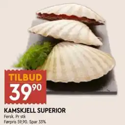 Coop Mega Kamskjell Superior tilbud