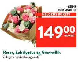 Jacobs Jacob's på Holtet Helgens Bukett tilbud