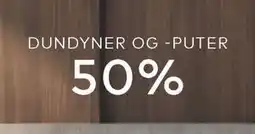 Skeidar DUNDYNER OG -PUTER tilbud
