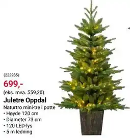 Europris Juletre Oppdal tilbud