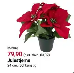 Europris Julestjerne tilbud