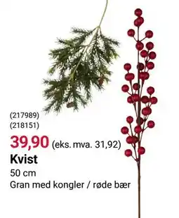 Europris Kvist tilbud