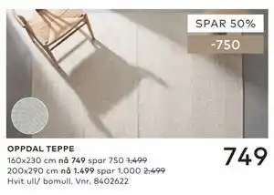 Skeidar OPPDAL TEPPE tilbud