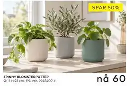 Skeidar TRINNY BLOMSTERPOTTER tilbud