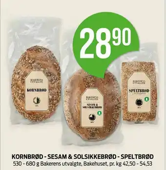 Kiwi Kornbrød - sesam & solsikkebrød - speltbrød tilbud