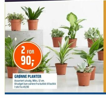 Coop Obs Grønne planter tilbud