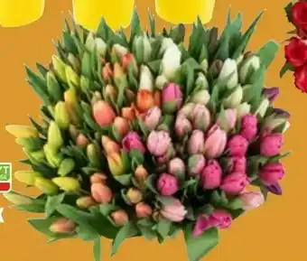 Coop Obs Tulipan bukett 20 stk tilbud