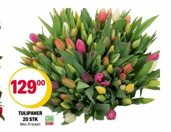 Coop Extra Tulipaner 20 stk tilbud
