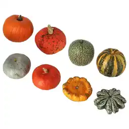 IKEA Cucurbita Dekorasjonsgresskar, 20 cm tilbud