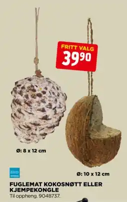 jem & fix Bird Fuglemat Kokosnøtt Eller Kjempekongle tilbud