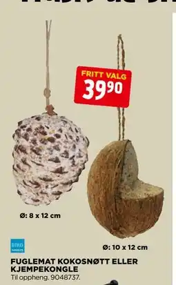 jem & fix FUGLEMAT KOKOSNØTT ELLER KJEMPEKONGLE tilbud