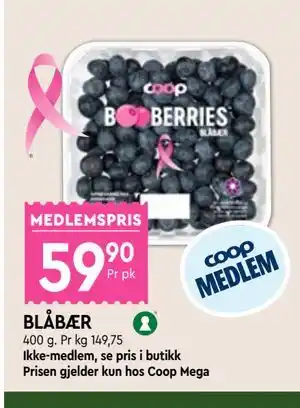 BLÅBÆR, Medlemspris