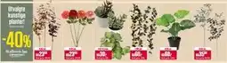 Europris Utvalgte kunstige planter tilbud