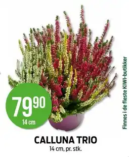 Kiwi CALLUNA TRIO tilbud