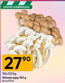 Gigaboks Shimeji sopp 150 g tilbud