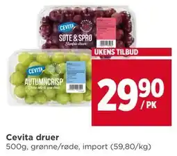 Meny Cevita druer tilbud