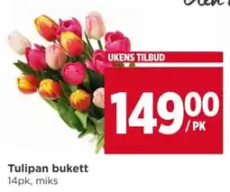 Meny Tulipan bukett tilbud