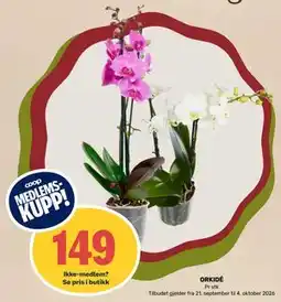 Matkroken ORKIDÉ, Medlemspris tilbud