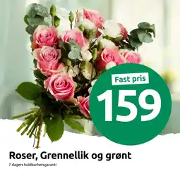 Joker Roser, Grennellik og grønt tilbud