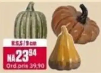Europris Pumpkin tilbud