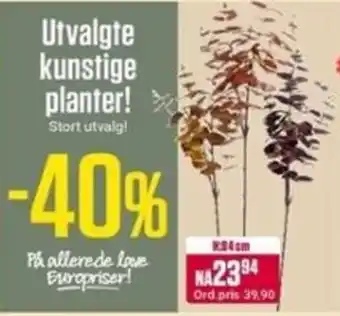 Europris Utvalgte kunstige planter tilbud